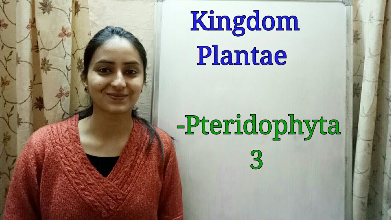 Division Pteridophyta | Biological classification part-7 | Class XI | Lecture 35