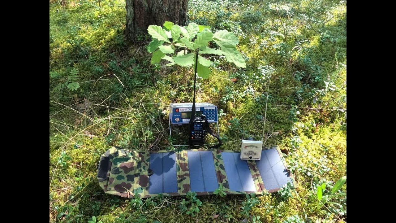 Tidradio TD-H3. Лесной тест и размышления вслух.