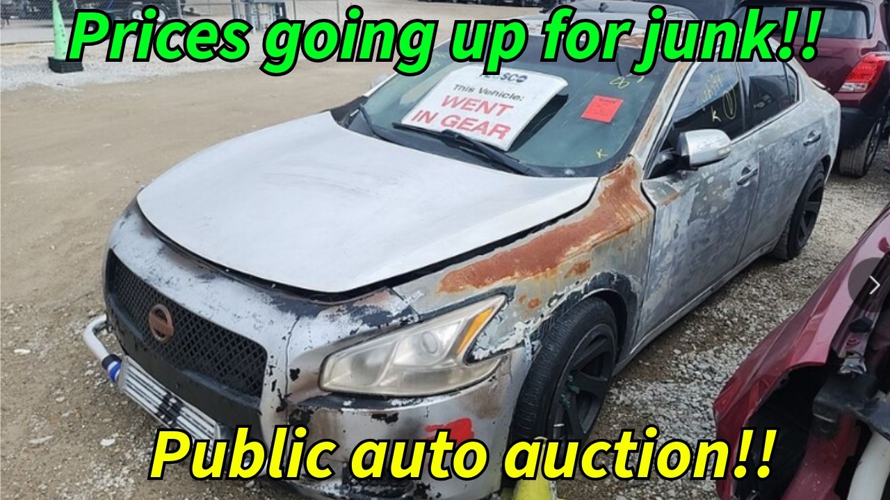 Prices are on the rise for cars at the public auto auction