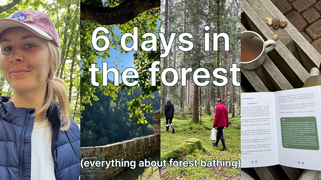I spent 6 days in the forest to de-stress. (forest bathing 101)