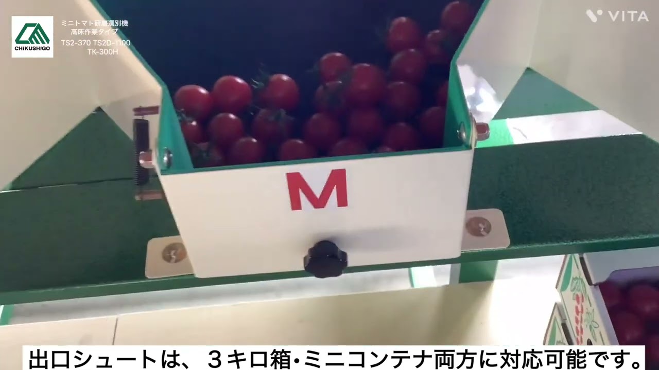 ミニトマト研磨選別機　昇降機　TS2-370+TS2D-1100+TK-300H