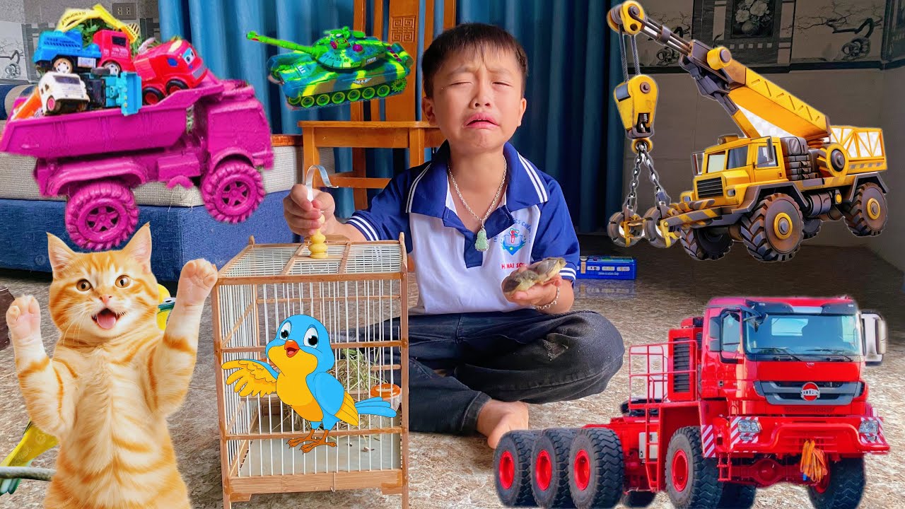 Changcady thử thách troll con mèo ăn mất con chim của em tu bi, tìm xe cẩu múc cát, máy xúc, xe tải