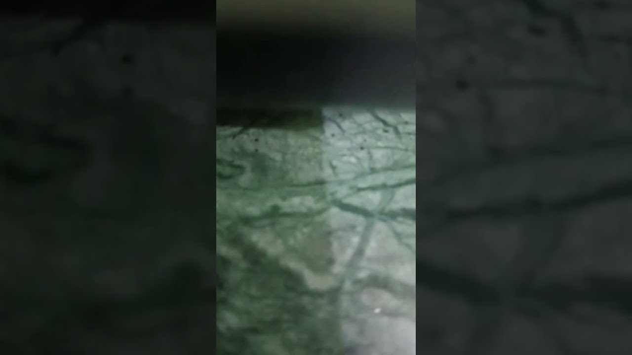 Her her Mahadev.🙏🙏