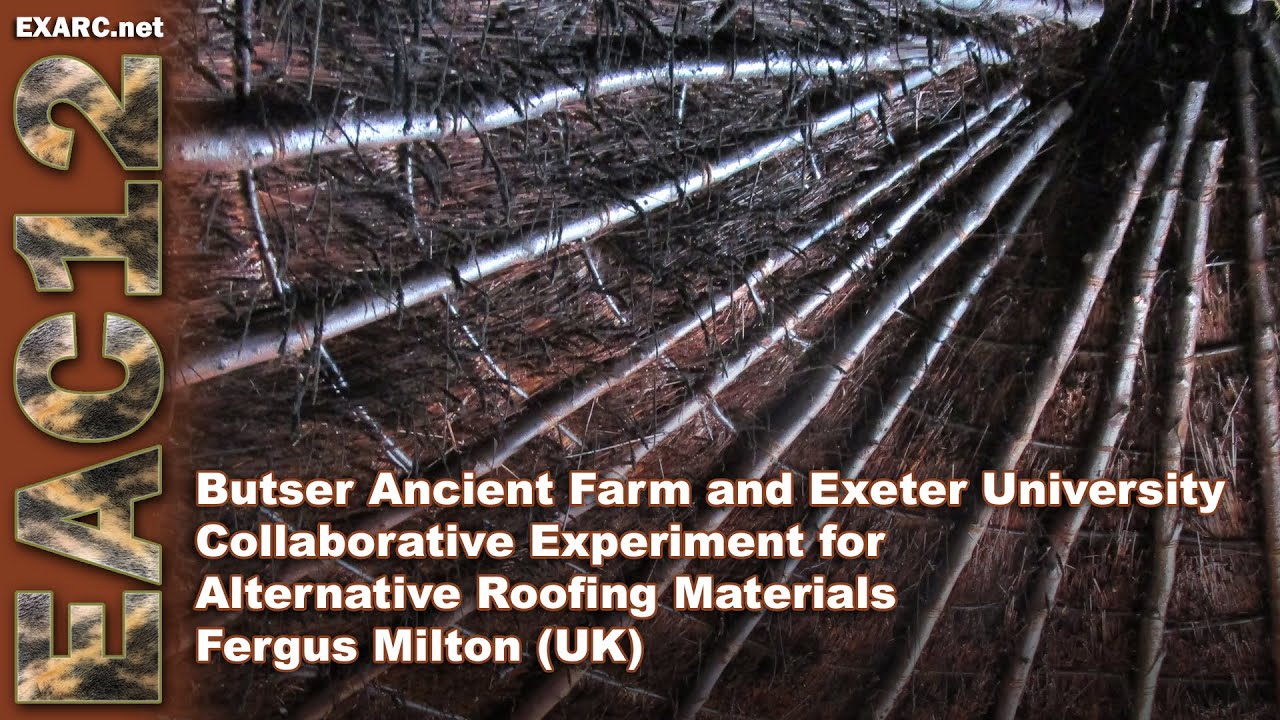 Butser Ancient Farm and Exeter University Collaborative Experiment for Alternative Roofing Materials