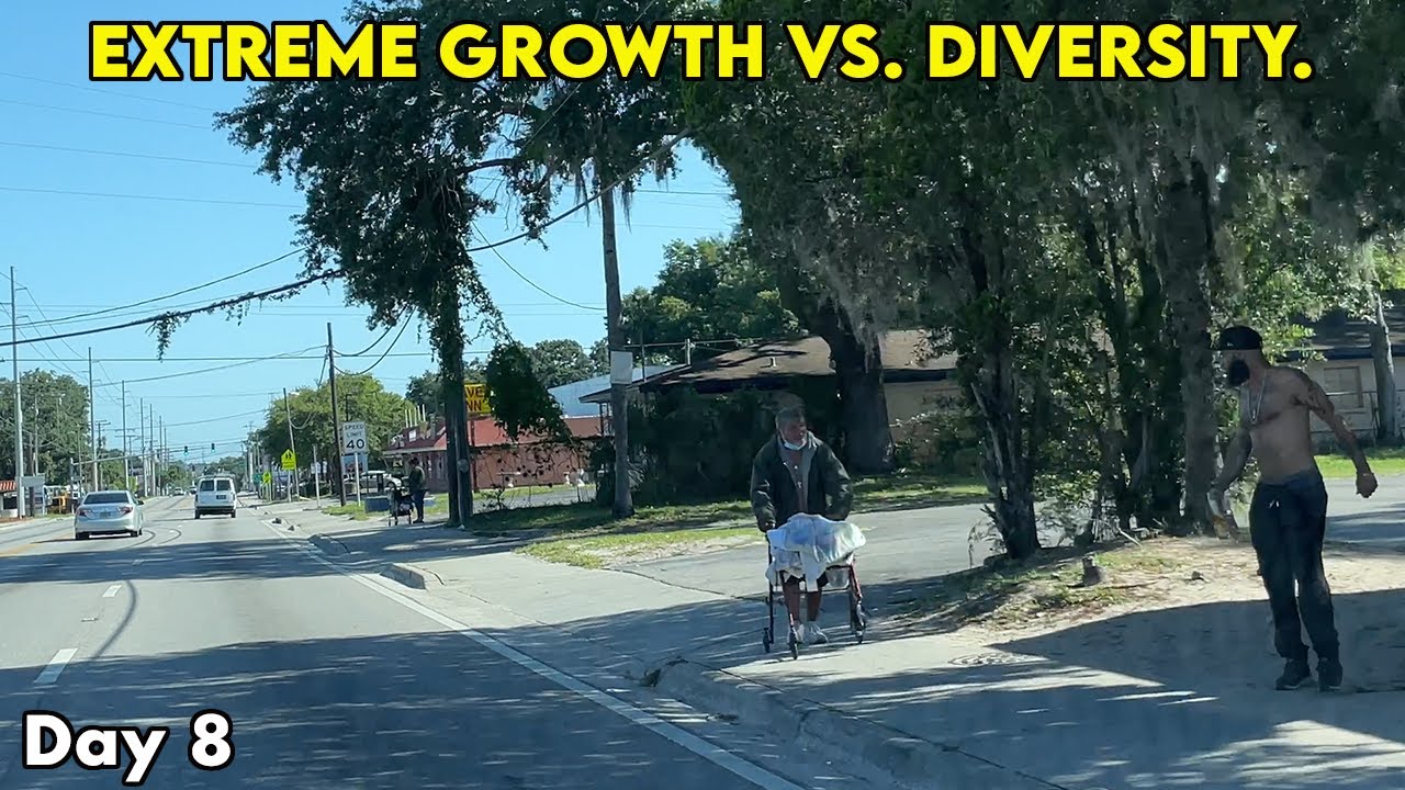 The Complicated Truth About Living In Tampa, Florida These Days 