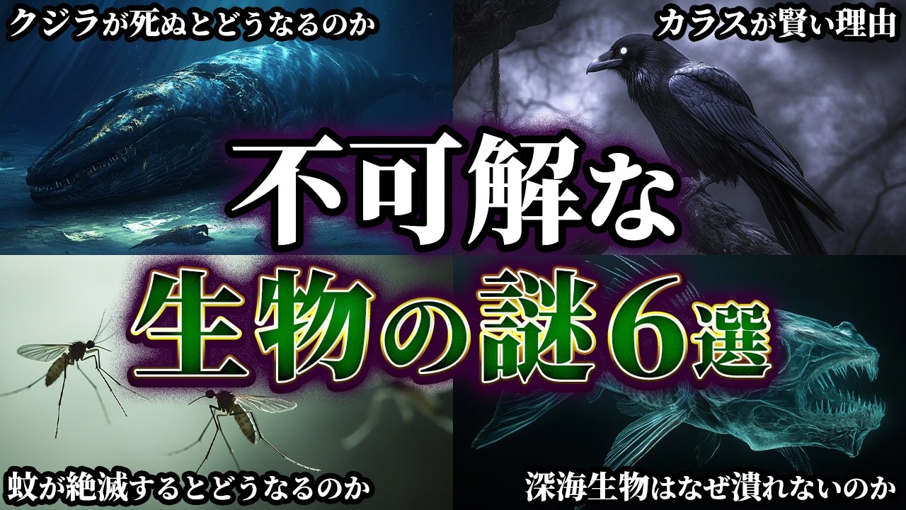 【ゆっくり解説】意外と知らない不可解な生物の謎6選