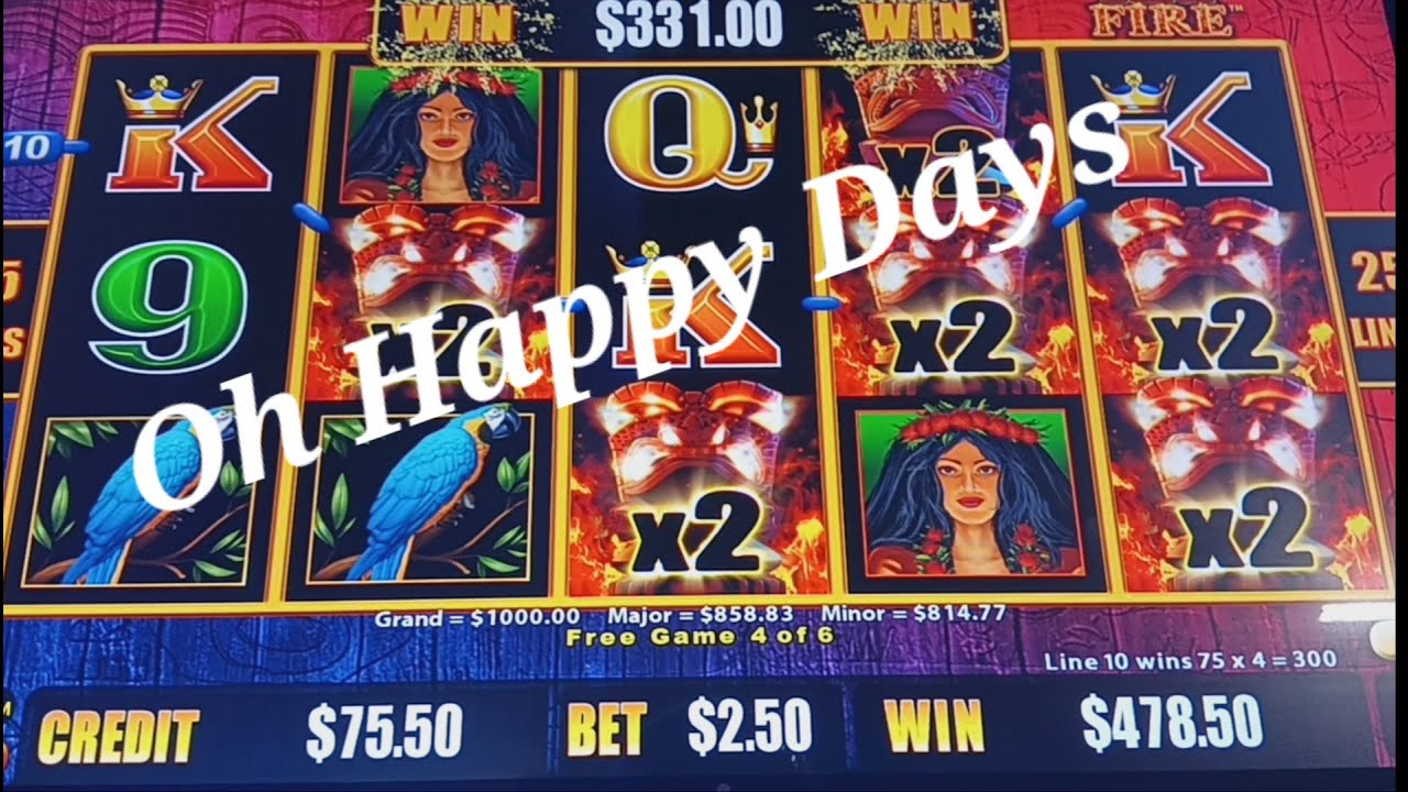 An Amazing Fun And Enjoyable Day At Local Pub In NZ