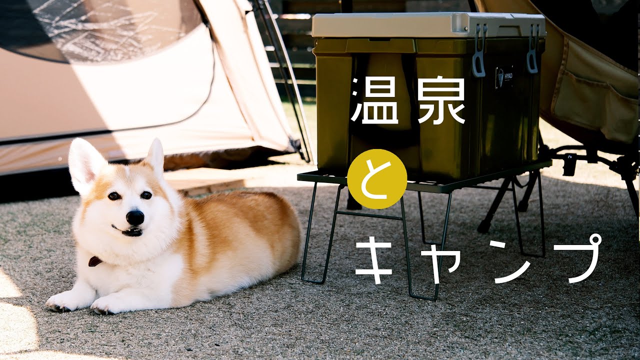 【犬とキャンプ】淡路島 N& CAMP FIELD／温泉のあるキャンプ場