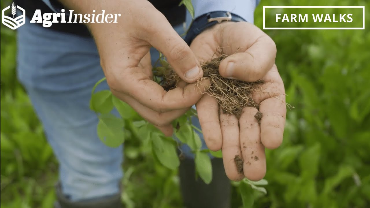 Multi Species Sward: Growing a diverse pasture - Farm Walk