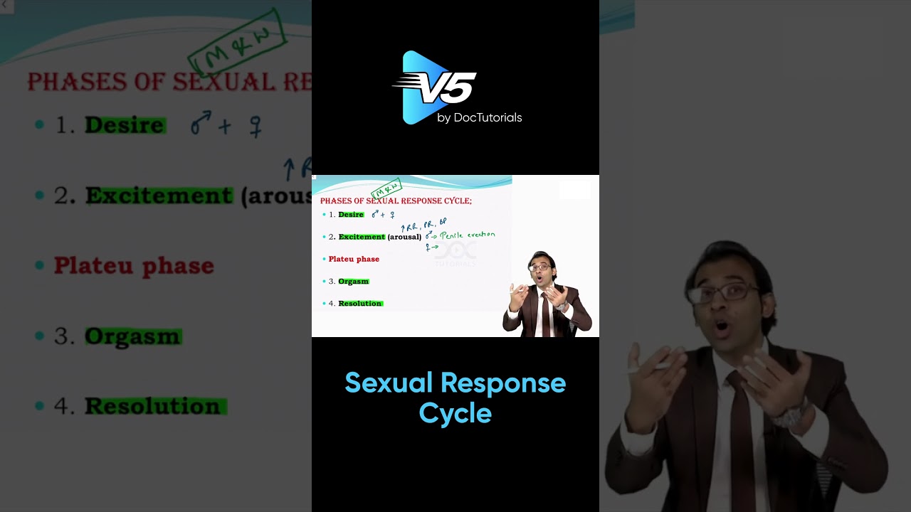 What's the REAL Reason Behind Excitement, Orgasm, and Resolution in Sexual Response Cycle?