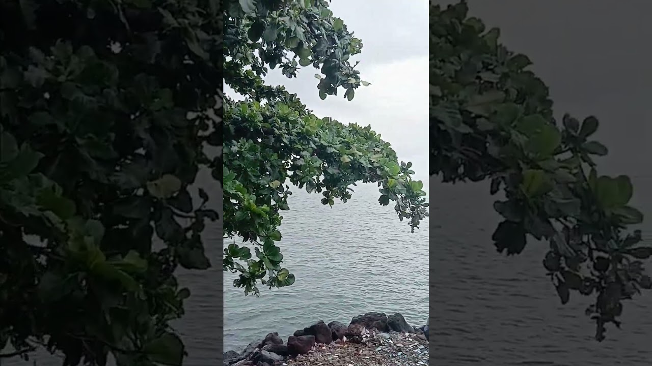 Makang siang sambil menikmati alam