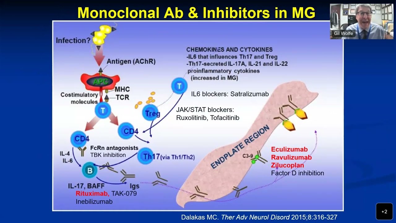 Updates and Research and Clinical Trials for MG
