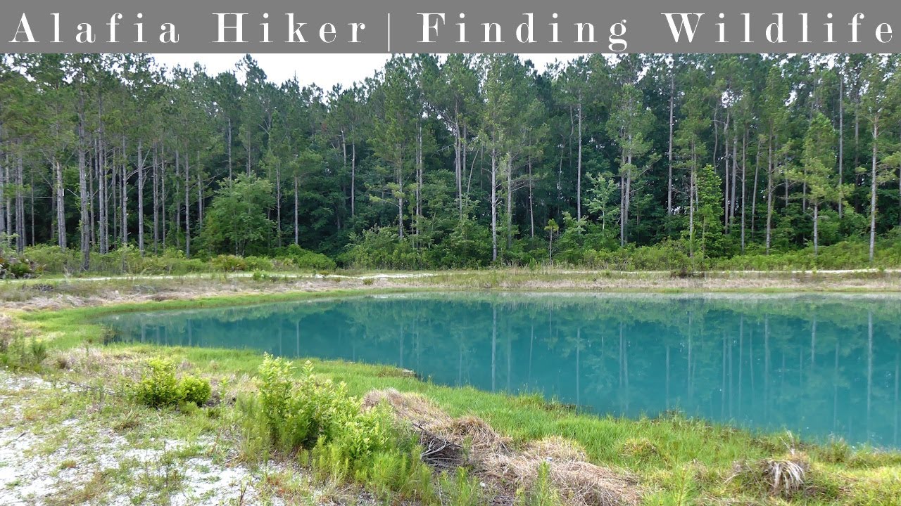 Hiking at St. Mary's Shoals Park