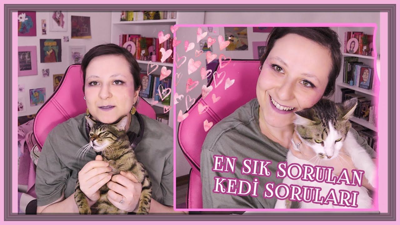 Kedi Bakımı Hakkında Her Şey 🐱 (Sorularınızı Cevapladım!)