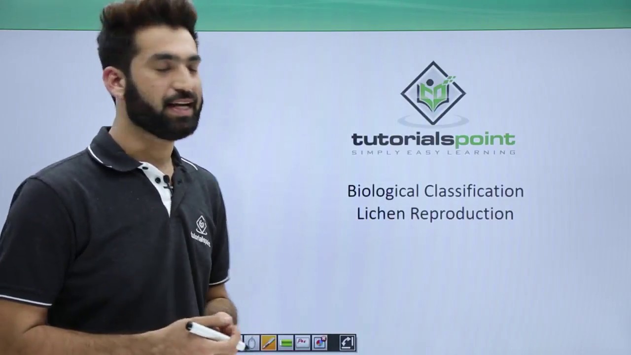Class 11th &ndash; Lichens &ndash; Reproduction | Biological Classification | Tutorials Point