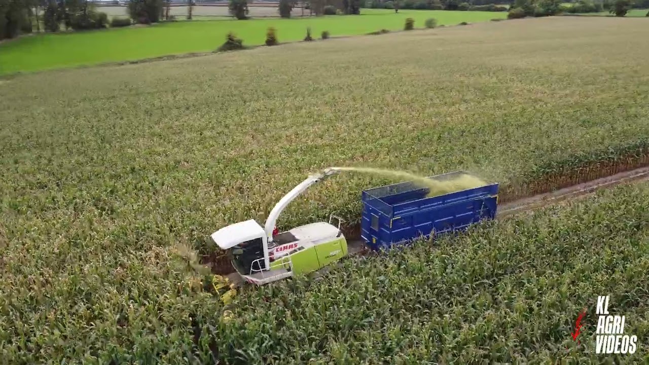 Maize 2022 - Rosnolvan Agri