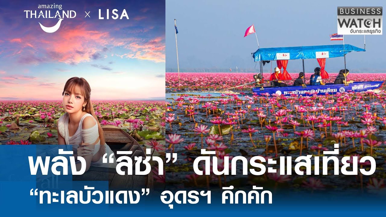 พลัง “ลิซ่า” ดันเที่ยว “ทะเลบัวแดง” อุดรฯ คึกคัก | BUSINESS WATCH | 27-01-69