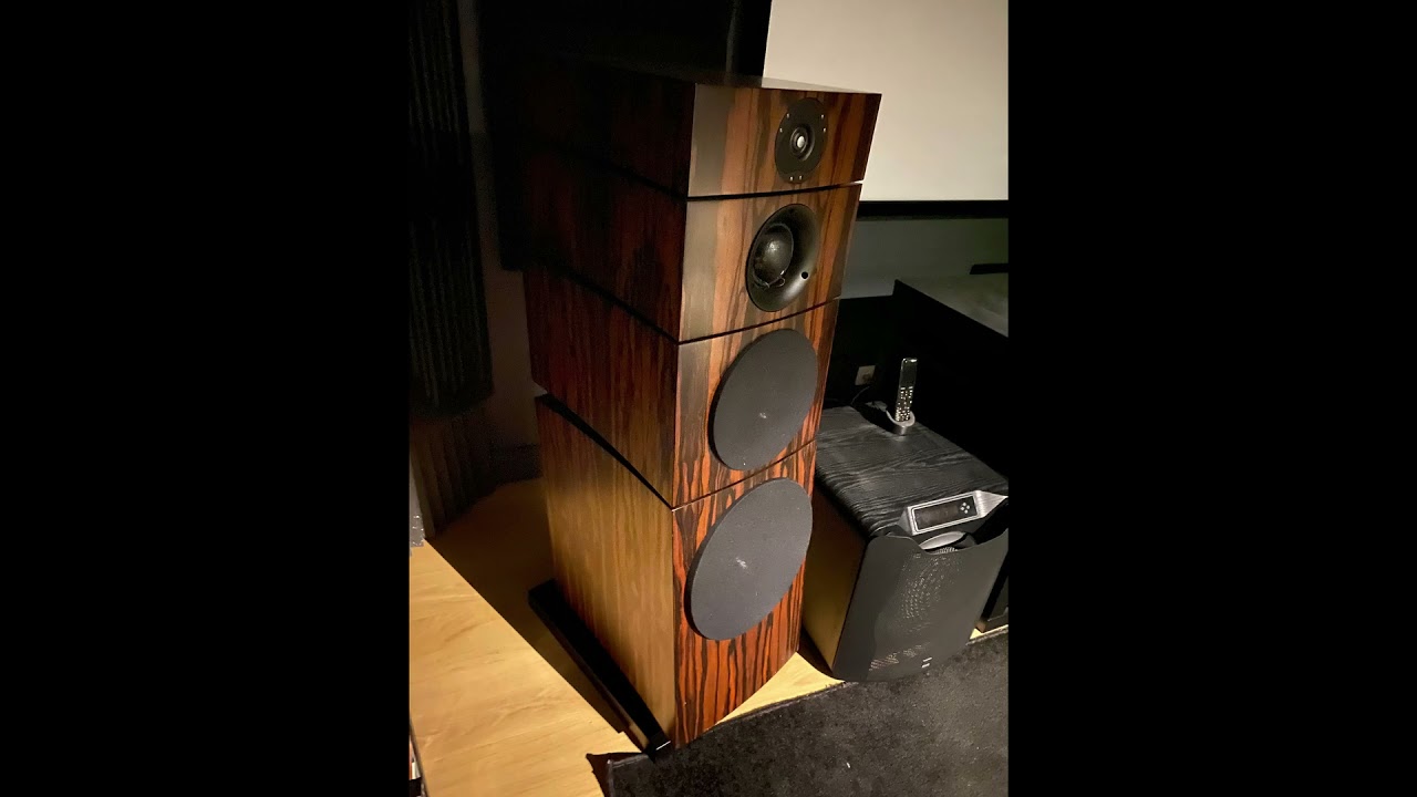 ATC Custom speakers with Scan Speak Illuminator tweeter.