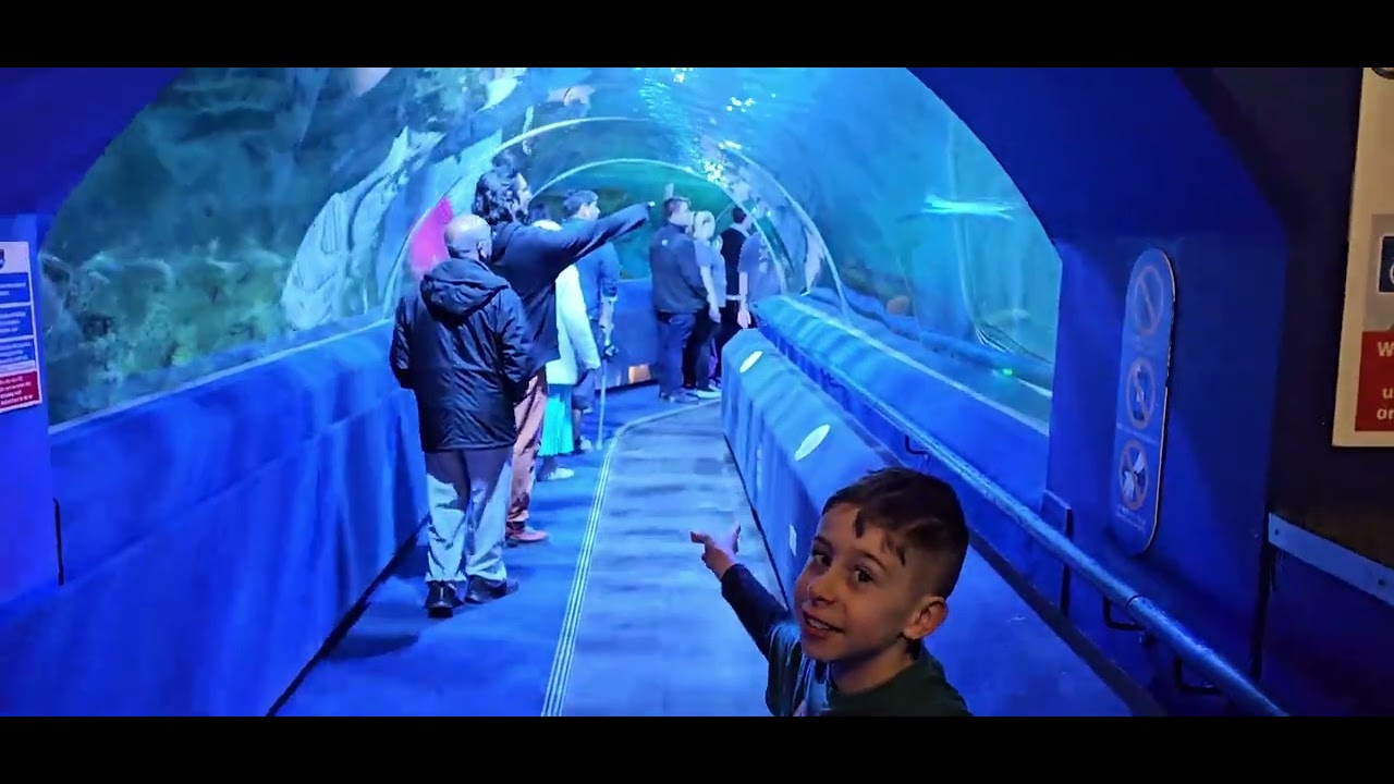 BLUE PLANET AQUARIUM