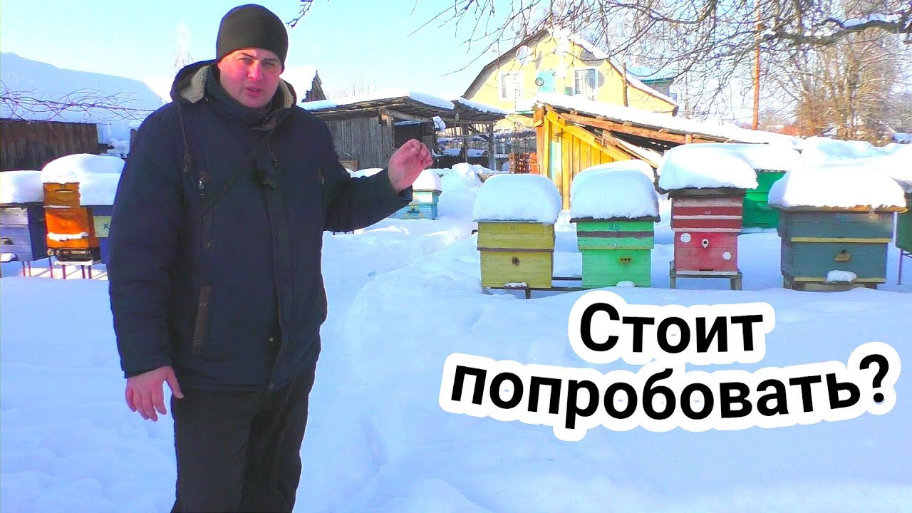Пчеловодство это новый уровень в жизни!