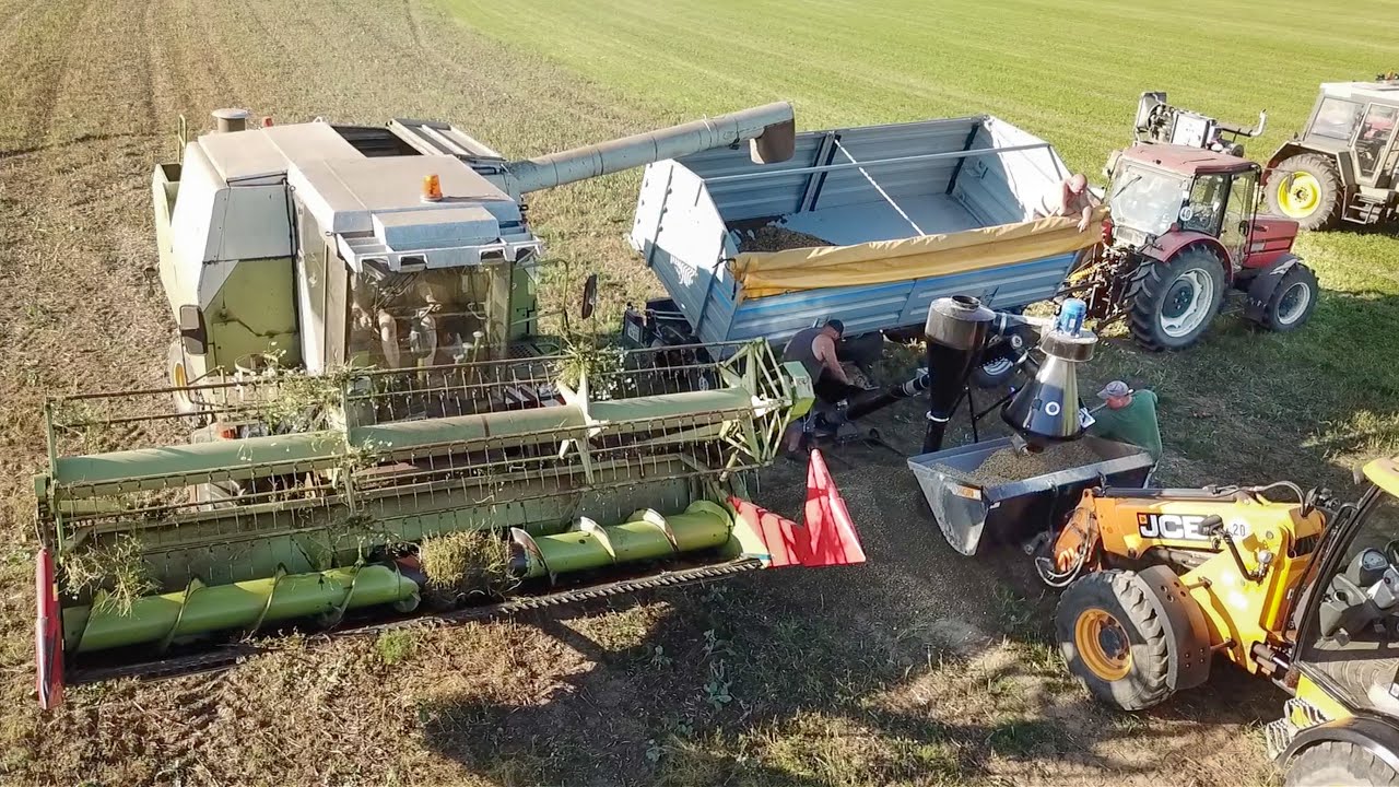 Ackerbohnenernte 2023 mit Fortschritt E524 und Reinigung auf dem Feld.