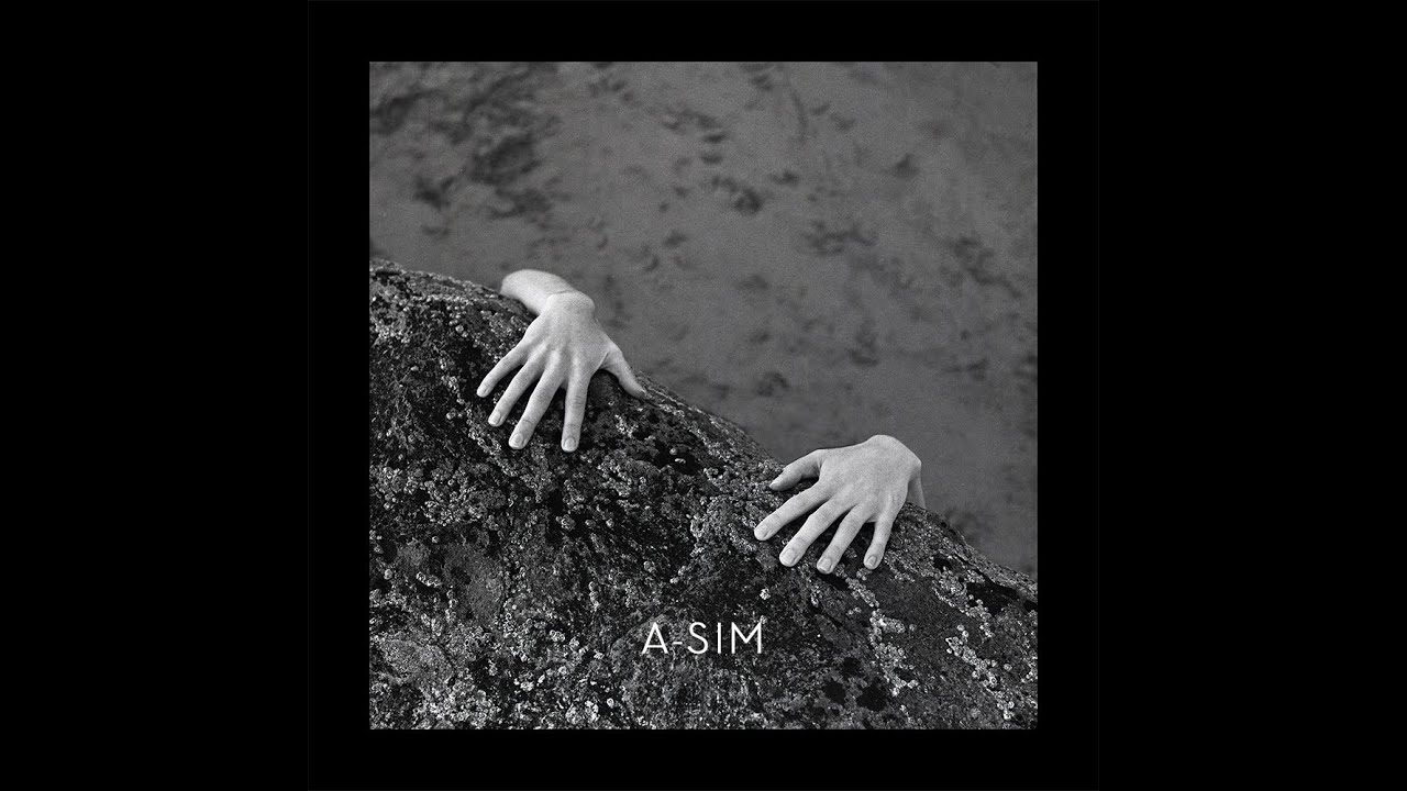 A-SIM : Where Is The Pause Button ? [Eddy Larkin]