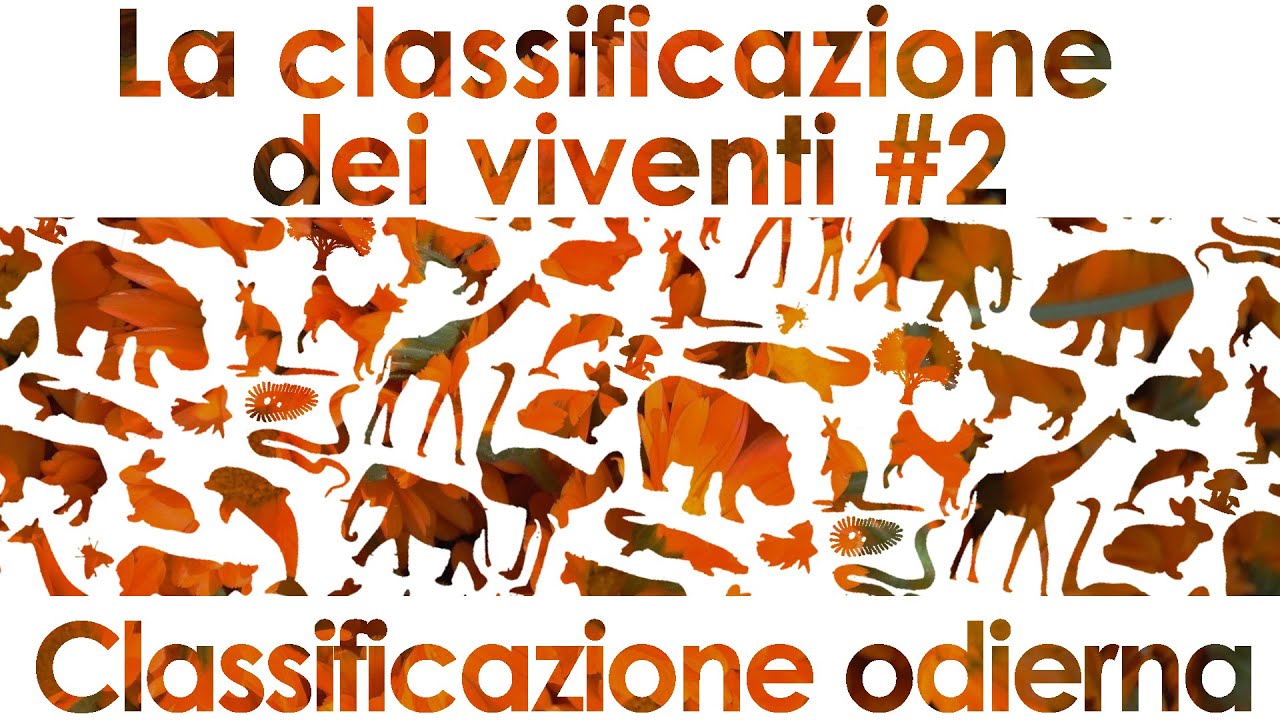La classificazione dei viventi #2 - Classificazione odierna