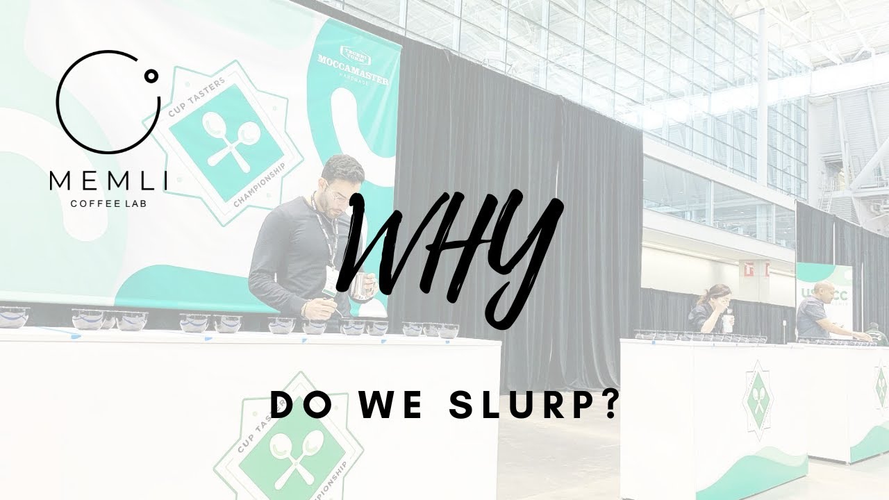 Why do we slurp?