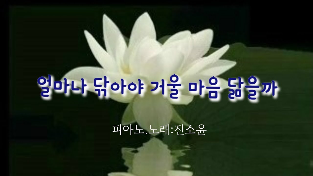 얼마나 닦아야 거울마음 닮을까       #참회#찬불가#진소윤음악세상