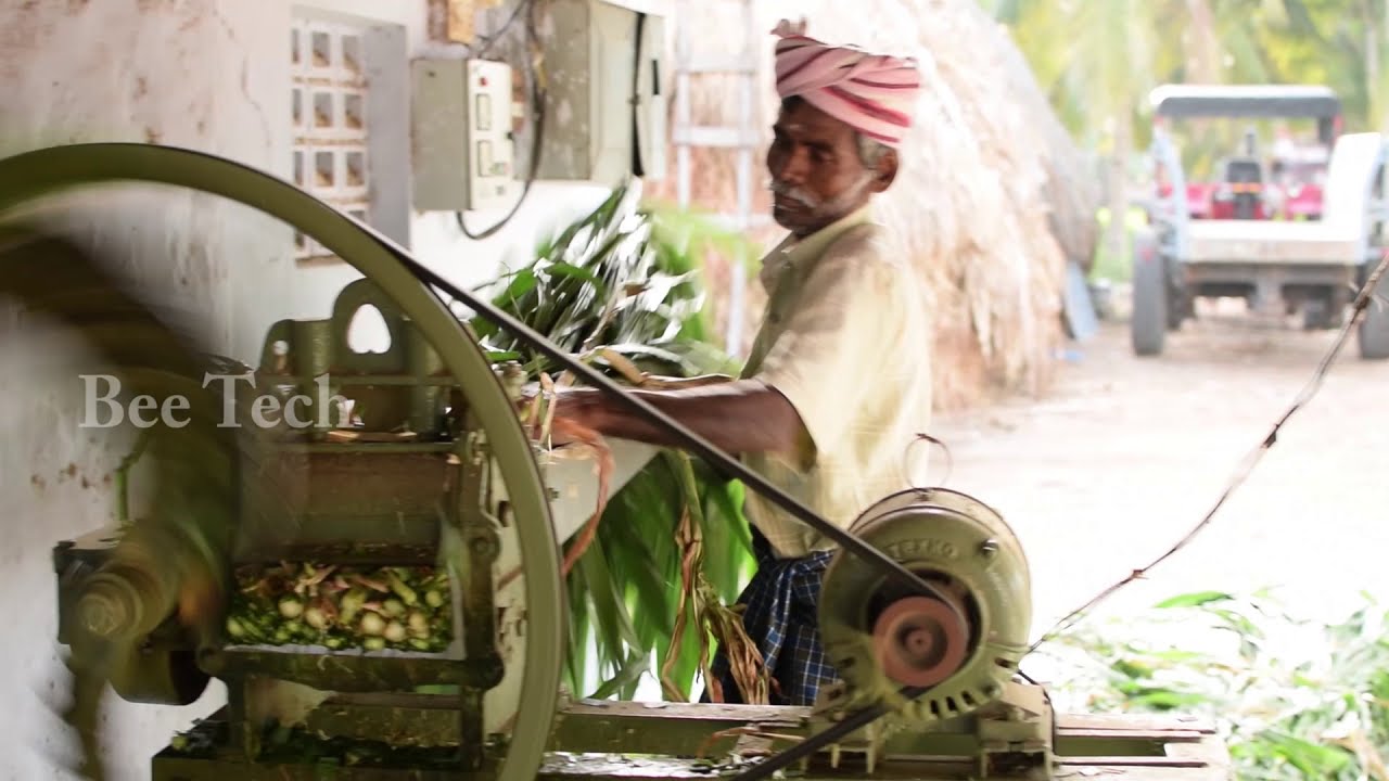 Grass Cutting Machine Process for Village Cow Farms in India | Cow Food Prepare work | Bee Tech