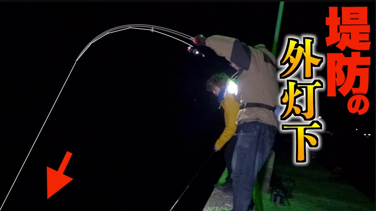 離島 ＋ 堤防 ＋ 外灯下は一瞬で大物が釣れました！！
