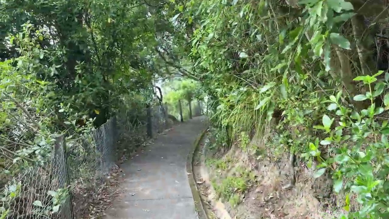 A short walk at Chelsey Bay - 2025-01-02