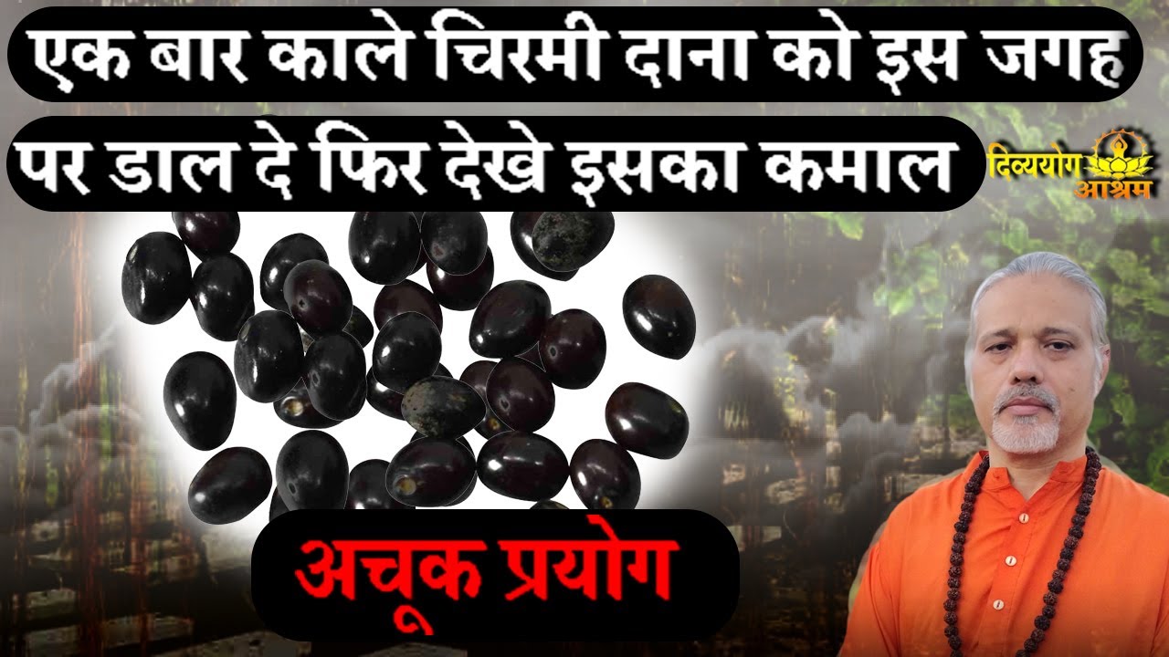 इस काले चिरमी दाना को जमीन पर डालते ही सुरक्षा मिलनी शुरु। शत्रु तंत्र बाधा नष्ट। #divyayogaashram