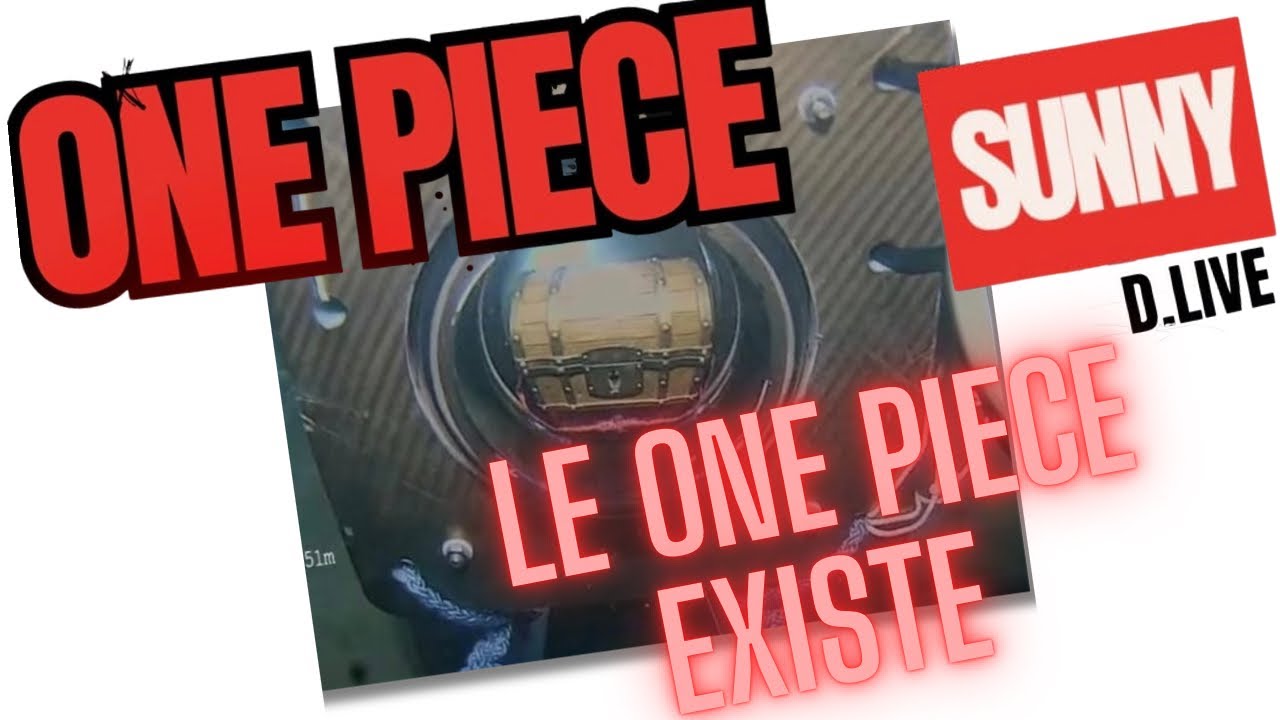 LE ONE PIECE EXISTE ! Une idée de Mer…?!