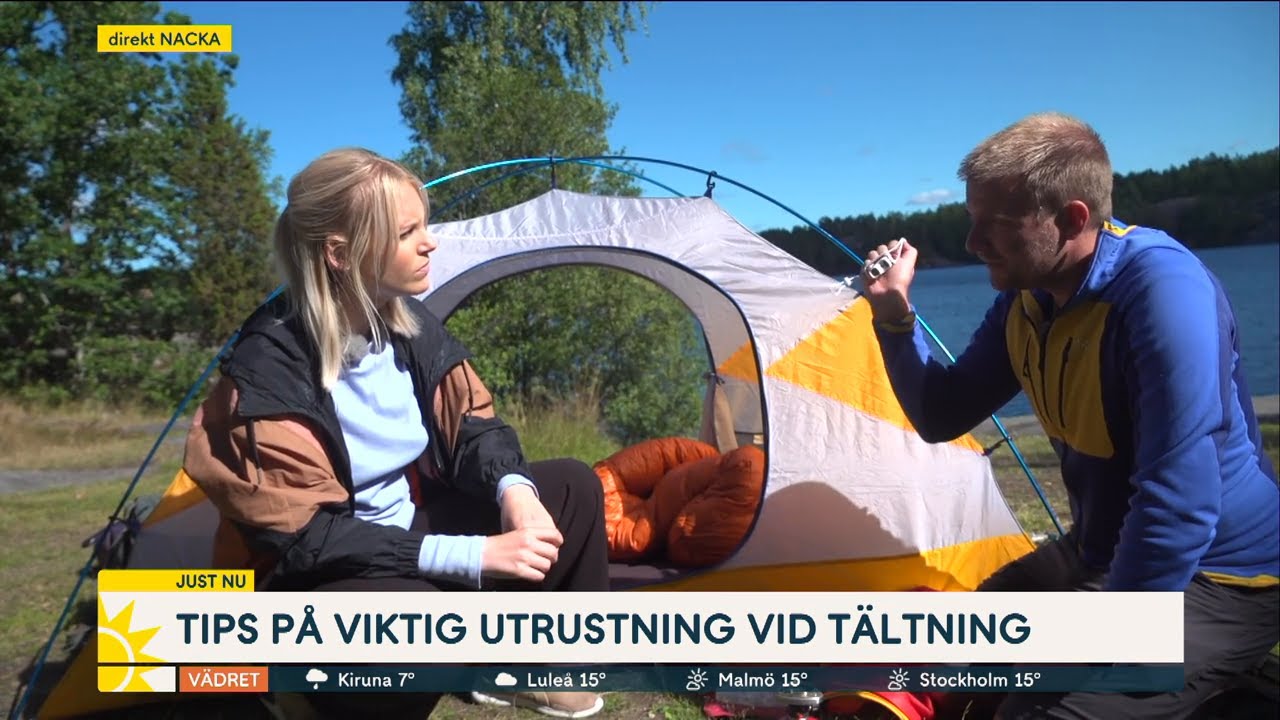 T&auml;lta i Sverige &ndash; det h&auml;r m&aring;ste du veta - Nyhetsmorgon (TV4)
