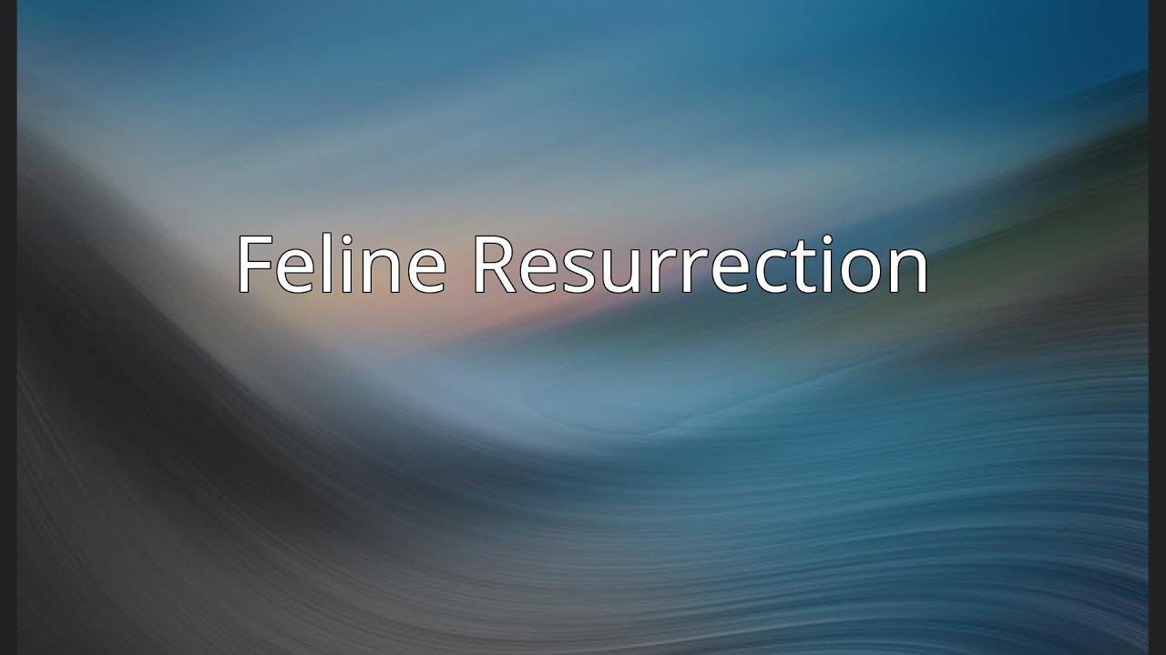 Feline Resurrection