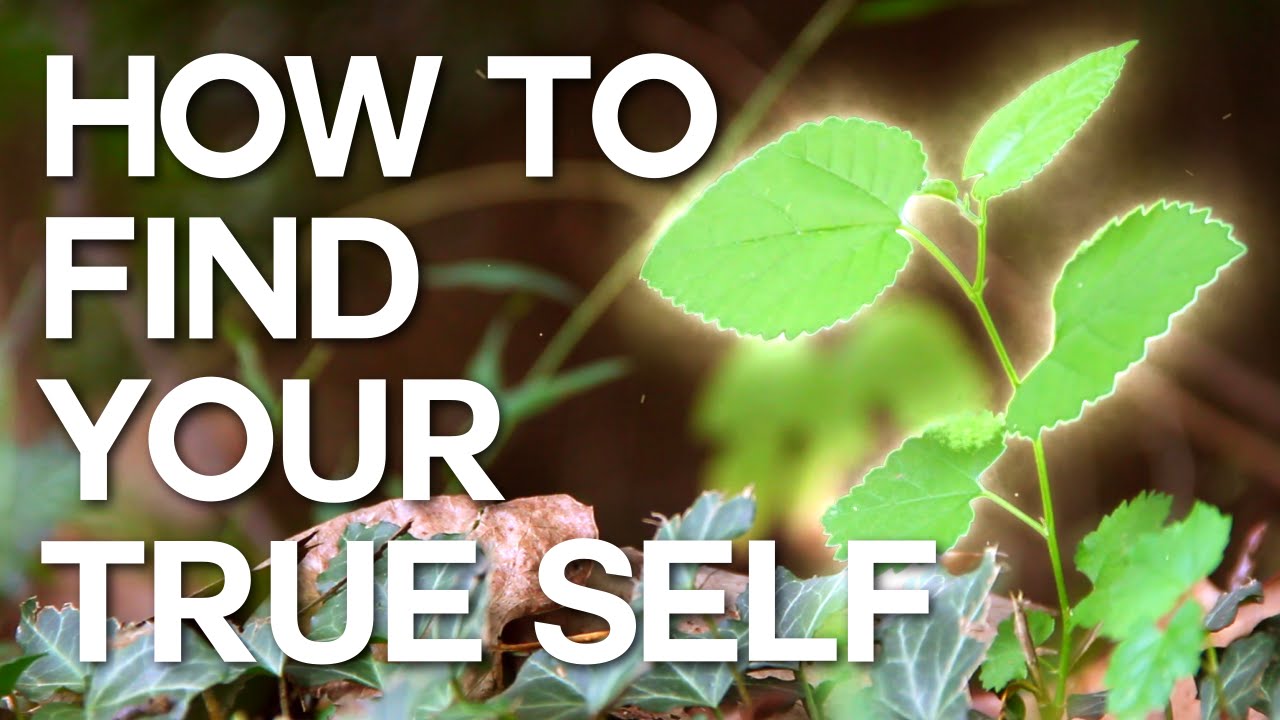 How to Find Your True Self - Swedenborg and Life