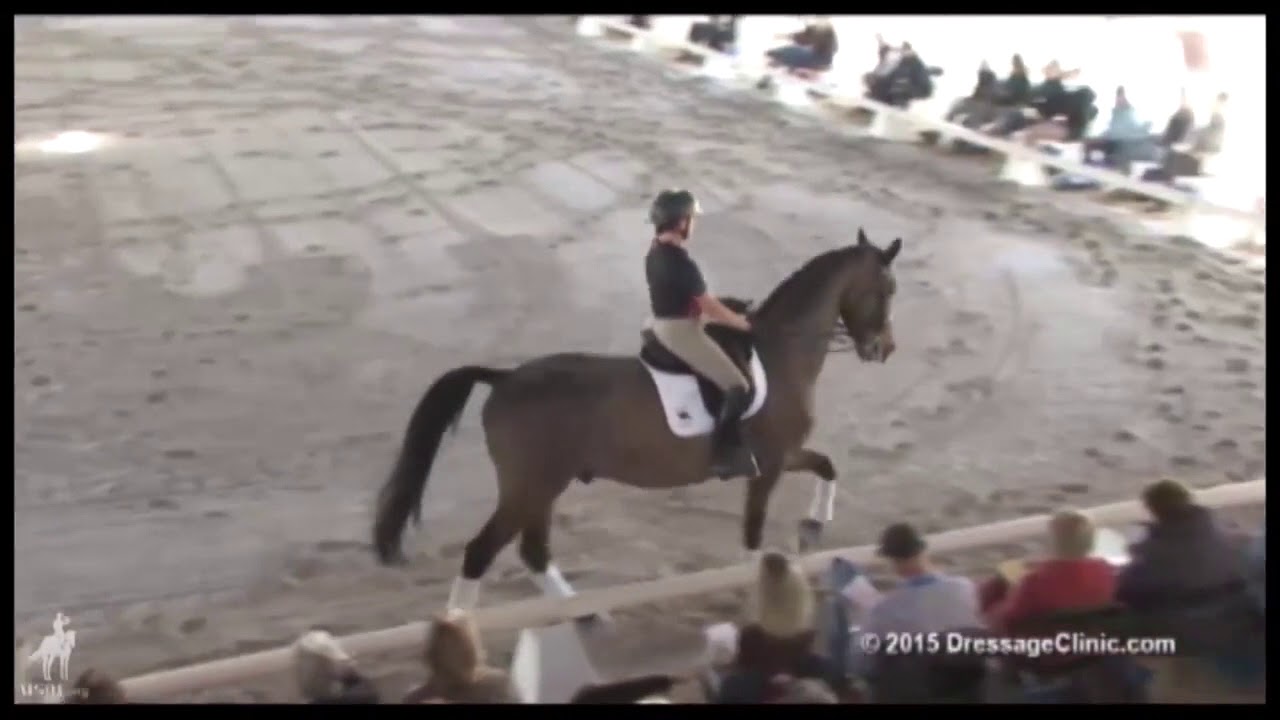 Riding The Canter Zig Zag