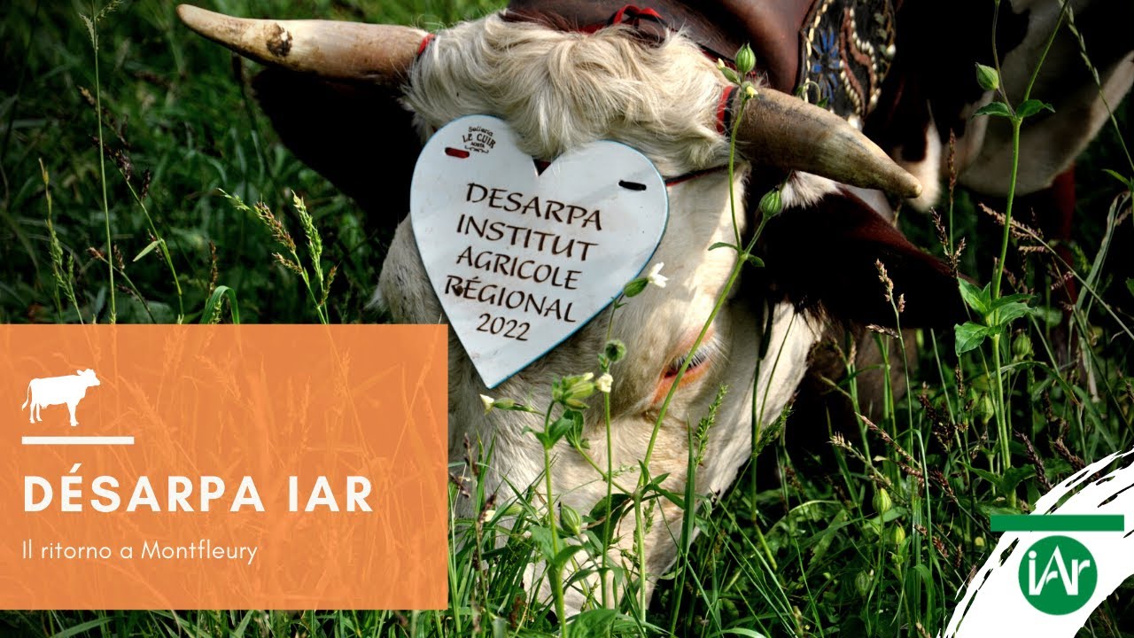 La #Désarpa dell'Institut Agricole Régional di Aosta