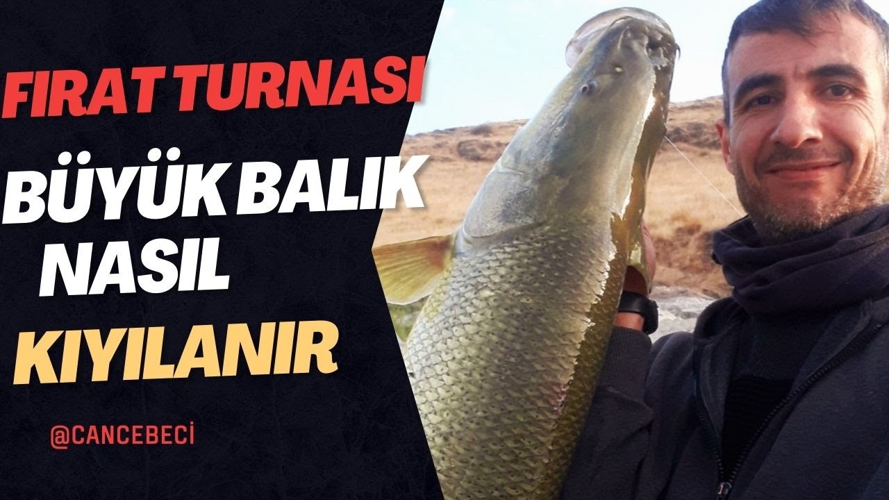 BALIK AVI - Elazığ Balık Avı  Fırat Turnası avı Can cebeci