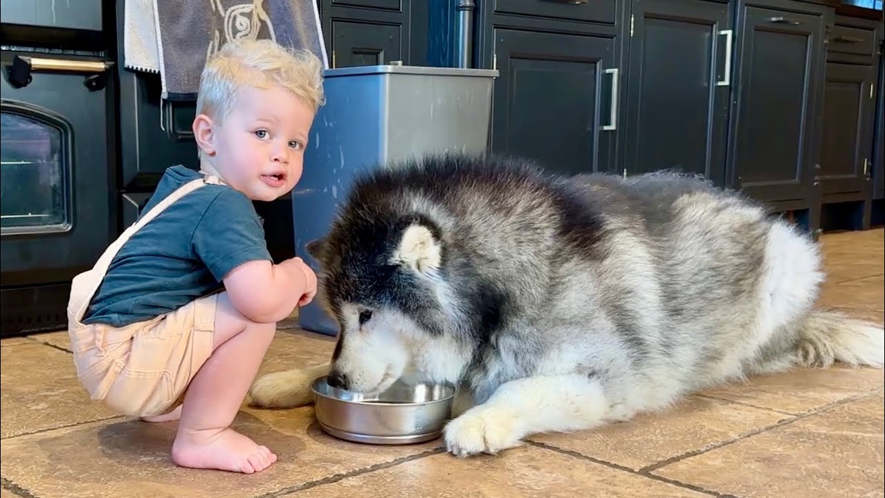 Adorable Baby Boy Eats Dog Food Reaction! (So Funny!!)