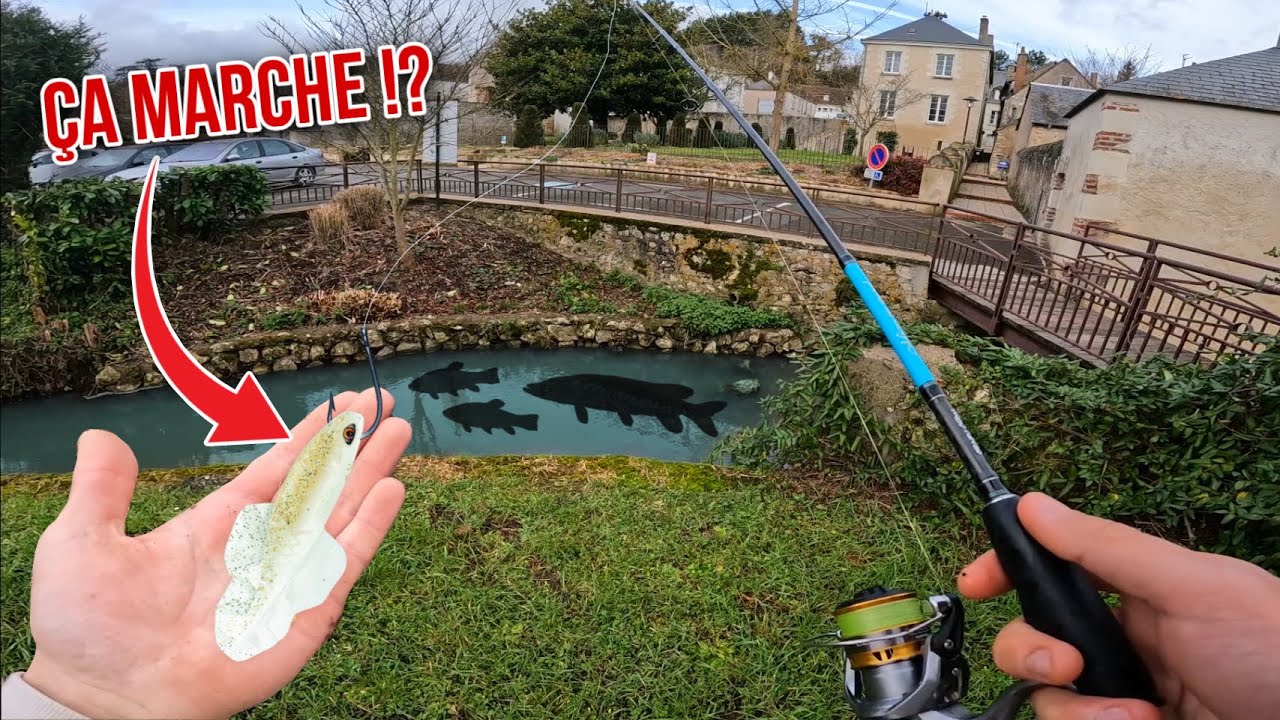 Ce LEURRE très ÉTRANGE peut-il prendre du poisson dans ce RUISSEAU MINUSCULE !?
