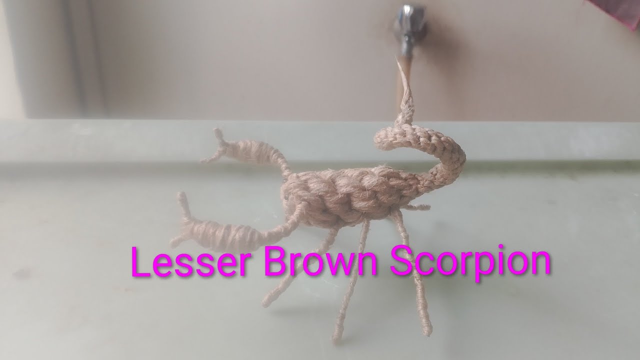 How to make Lesser Brown Scorpion with rope ทำแมงป่องเล็กด้วยเชือก