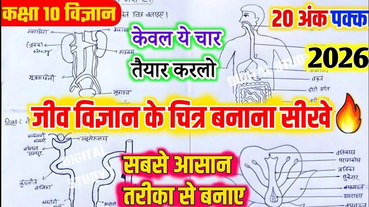 जीव विज्ञान के डायग्राम बनाना सीखे | 10वी विज्ञान के महत्वपूर्ण डायग्राम ऐसे बनाएं | 20 नंबर पक्का🔥