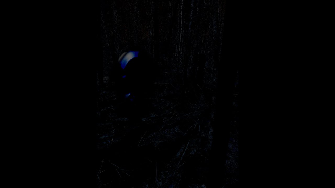 Burial - FNF: OFFSHOOT OST