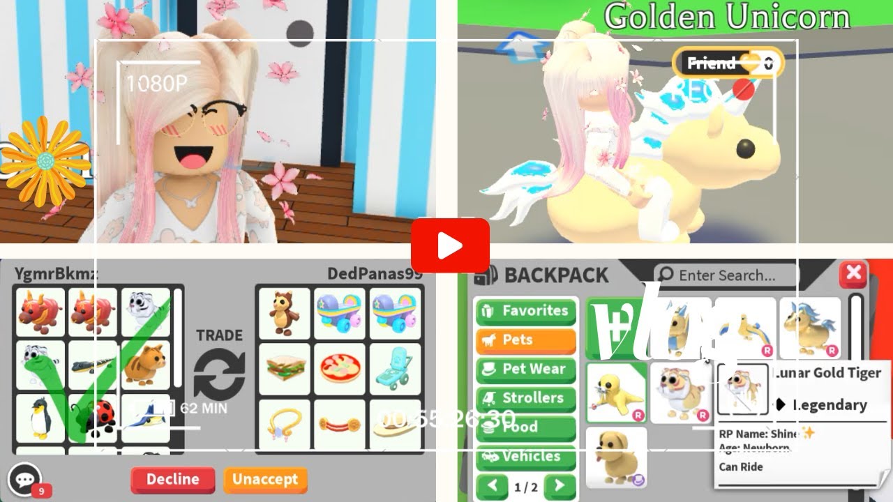 Roblox Adopt Me Trade yaptık.Golden Dragon Aldım.🤪