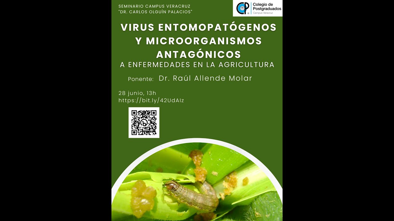 Virus entomopatógenos y microorganismos antagónicos a enfermedades en la agricultura Dr  Raúl Allend