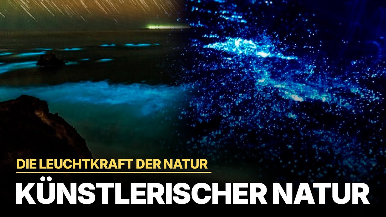 Die Leuchtkraft der Natur | Die Poesie der Helligkeit