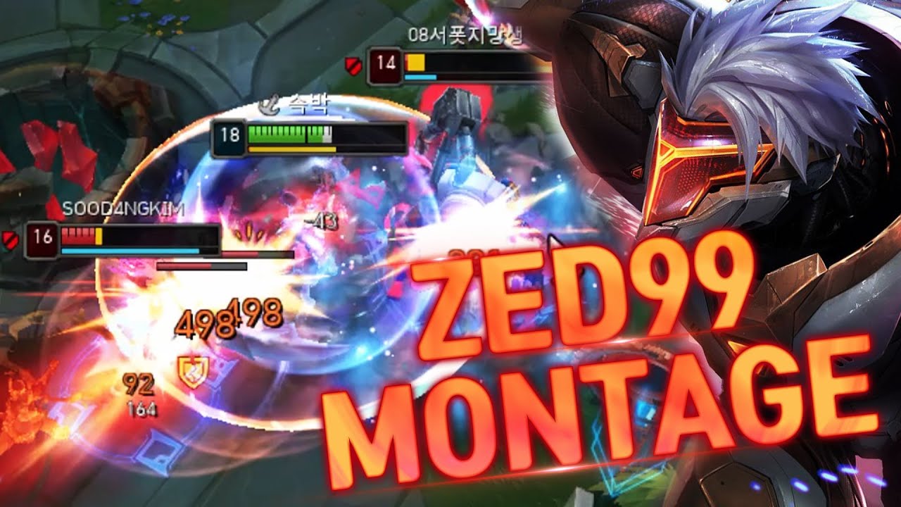 ZED99 3~4월 하이라이트!