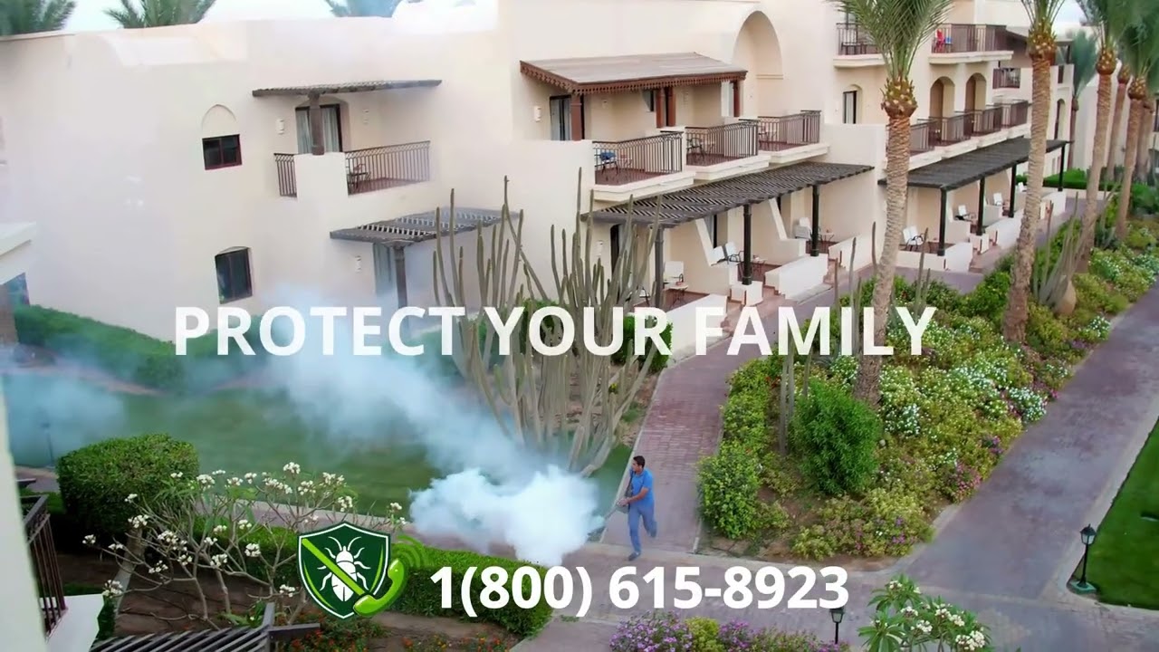 Top 3 Bed Bug Removal in Gahanna